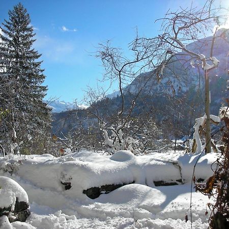 Dunkel Blaue Maus Bed & Breakfast Meiringen Bagian luar foto