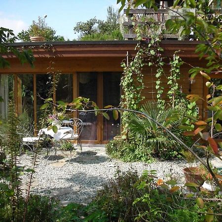 Dunkel Blaue Maus Bed & Breakfast Meiringen Bagian luar foto