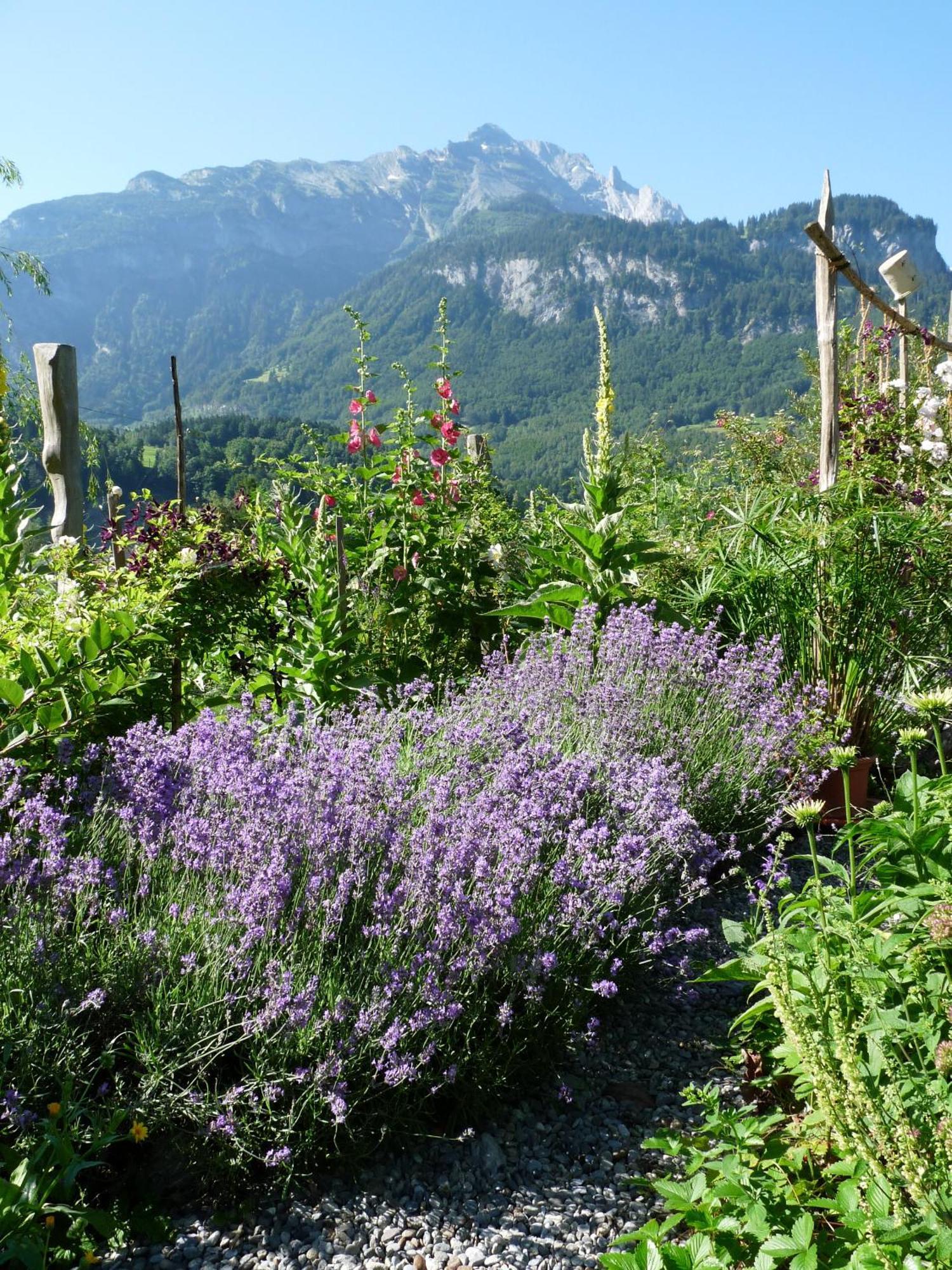 Dunkel Blaue Maus Bed & Breakfast Meiringen Bagian luar foto