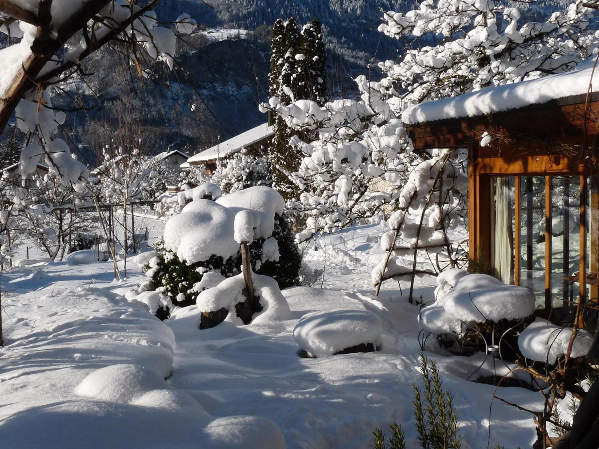 Dunkel Blaue Maus Bed & Breakfast Meiringen Bagian luar foto