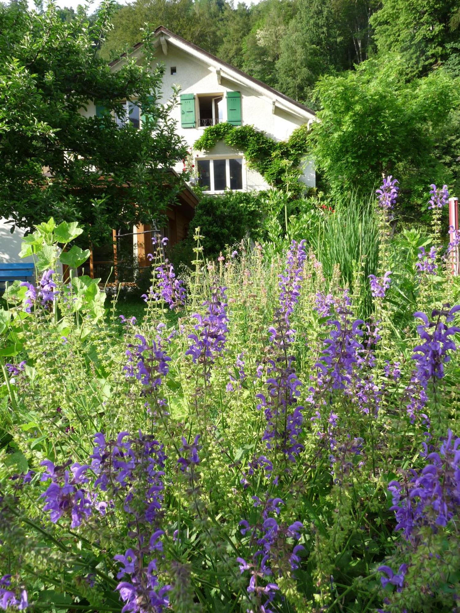 Dunkel Blaue Maus Bed & Breakfast Meiringen Bagian luar foto