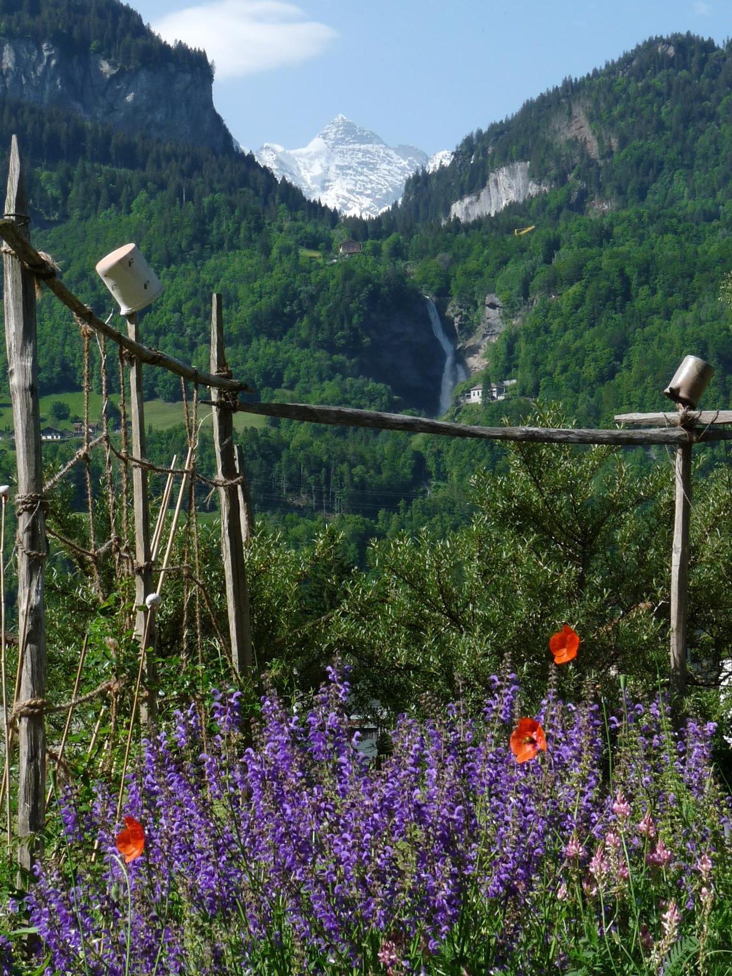 Dunkel Blaue Maus Bed & Breakfast Meiringen Bagian luar foto