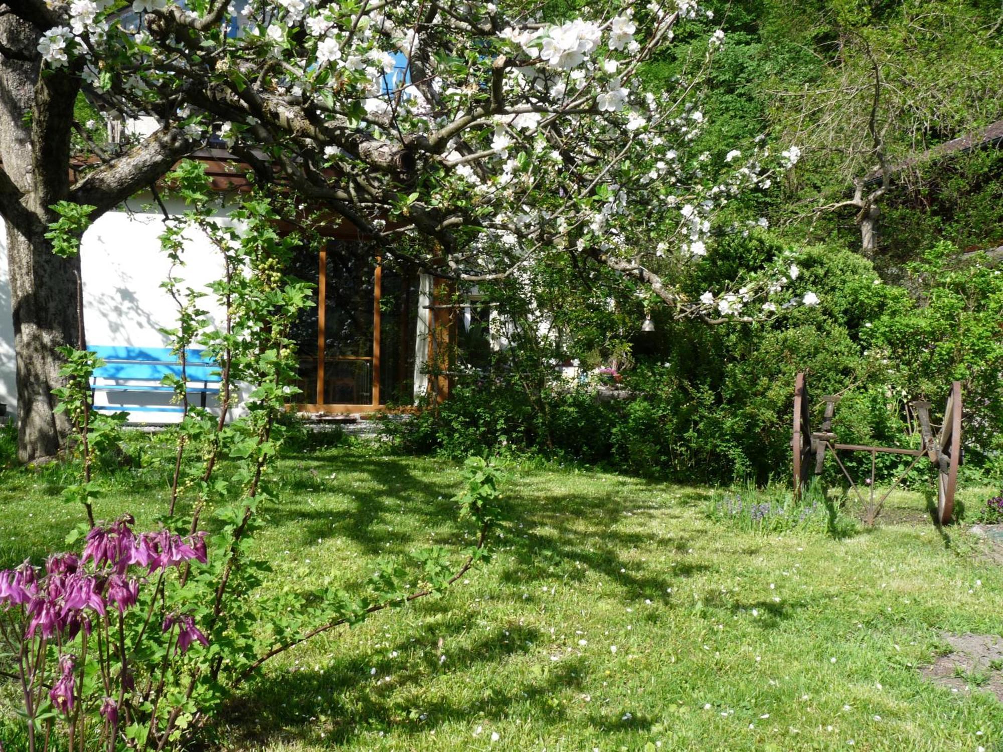 Dunkel Blaue Maus Bed & Breakfast Meiringen Bagian luar foto