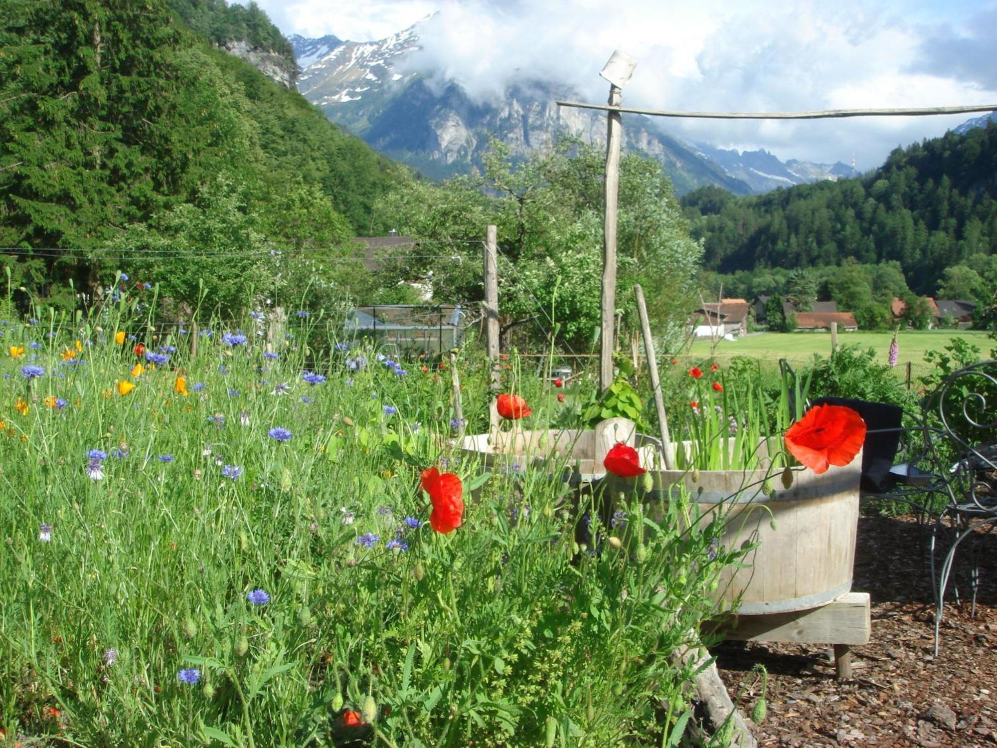 Dunkel Blaue Maus Bed & Breakfast Meiringen Bagian luar foto