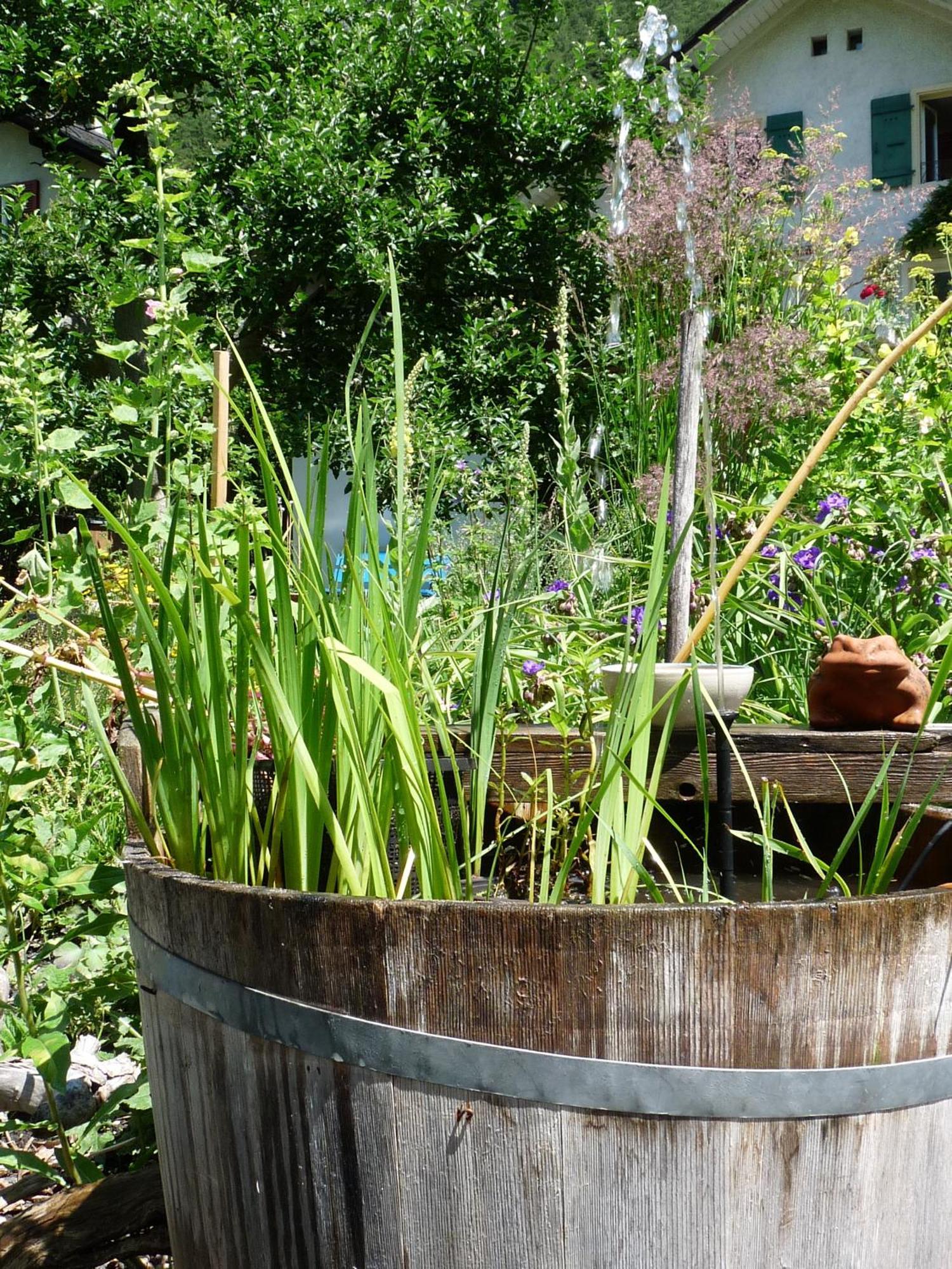Dunkel Blaue Maus Bed & Breakfast Meiringen Bagian luar foto