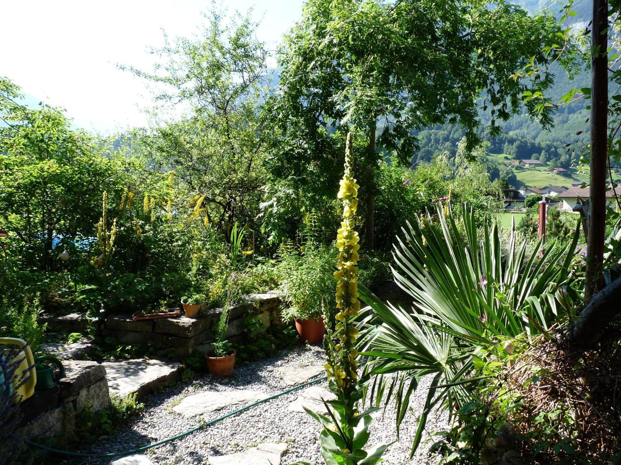 Dunkel Blaue Maus Bed & Breakfast Meiringen Bagian luar foto