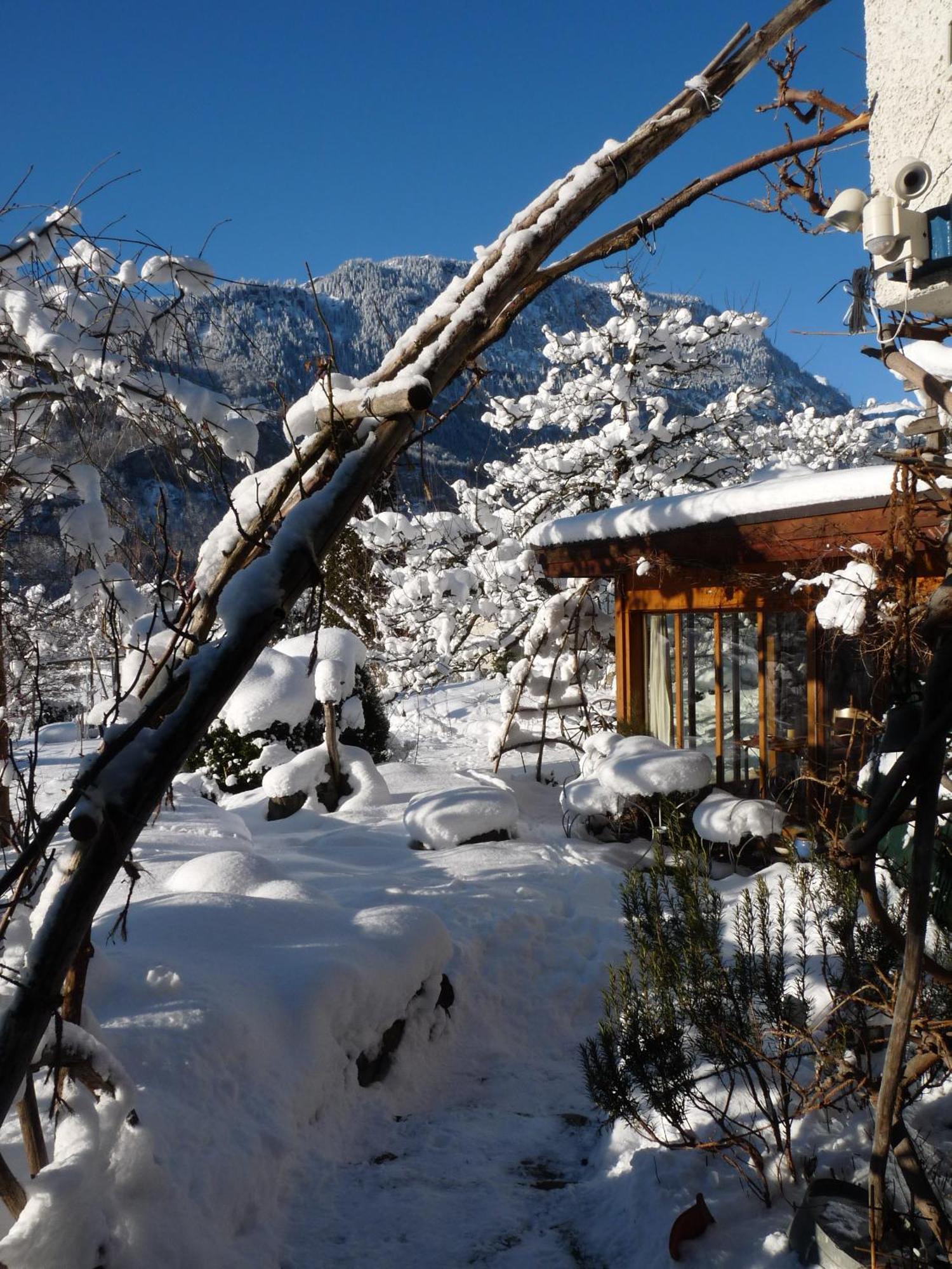 Dunkel Blaue Maus Bed & Breakfast Meiringen Bagian luar foto