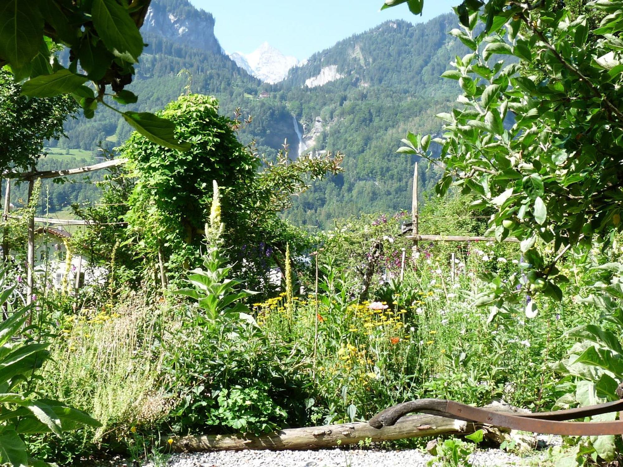 Dunkel Blaue Maus Bed & Breakfast Meiringen Bagian luar foto