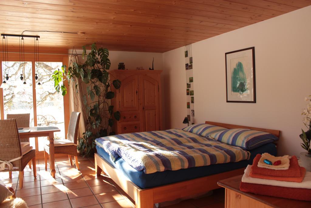 Dunkel Blaue Maus Bed & Breakfast Meiringen Bagian luar foto